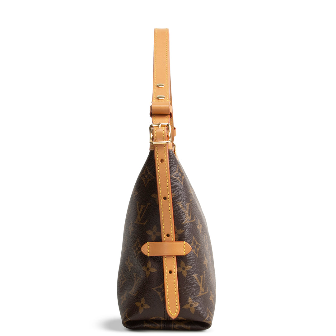 LOUIS VUITTON Carry All East - West Monogram