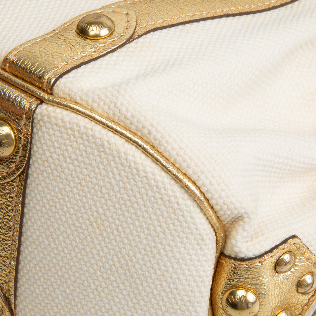 LOUSI VUITTON Vintage Canvas Antigua Theda