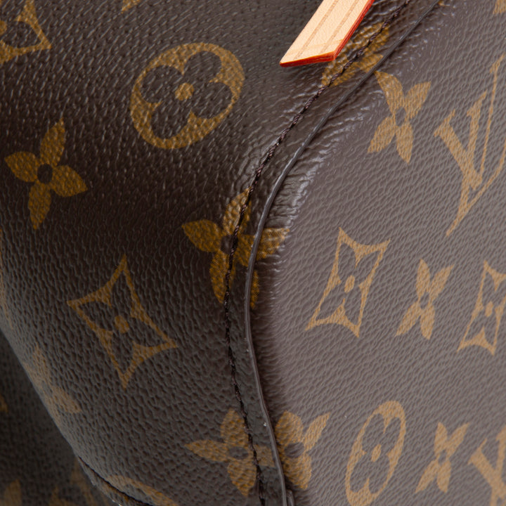 LOUIS VUITTON Monogram Neonoe BB