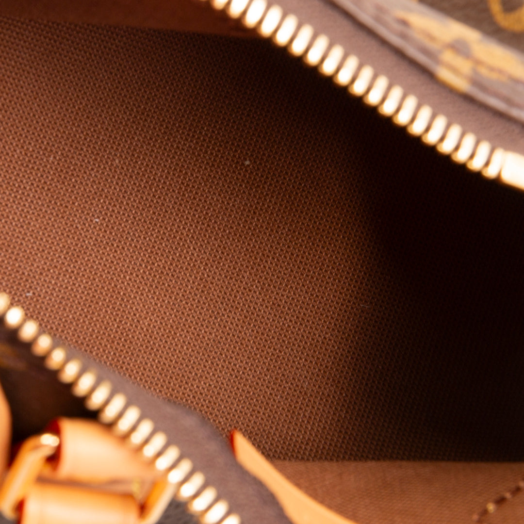 LOUIS VUITTON Monogram Nano Speedy Bandouliere