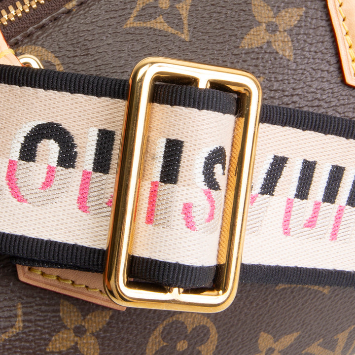 LOUIS VUITTON Monogram Speedy 20