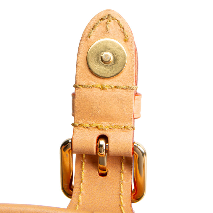 LOUIS VUITTON Diane Monogram Shoulder Bag