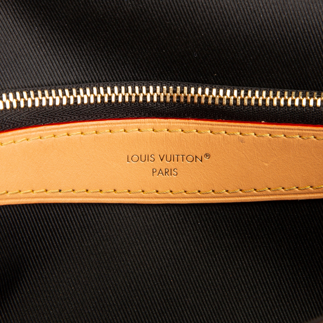 LOUIS VUITTON Diane Monogram Shoulder Bag