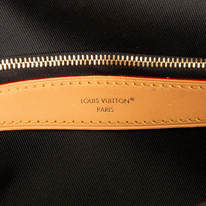 LOUIS VUITTON Diane Monogram Shoulder Bag