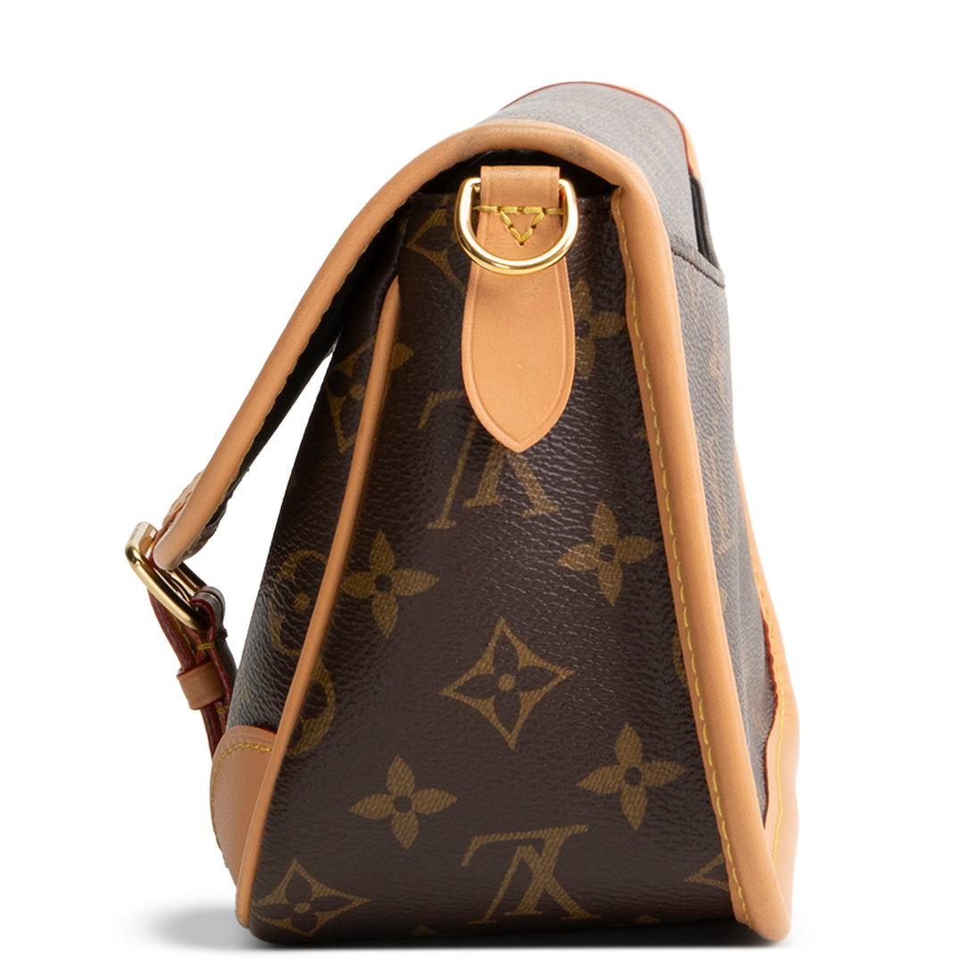 LOUIS VUITTON Diane Monogram Shoulder Bag