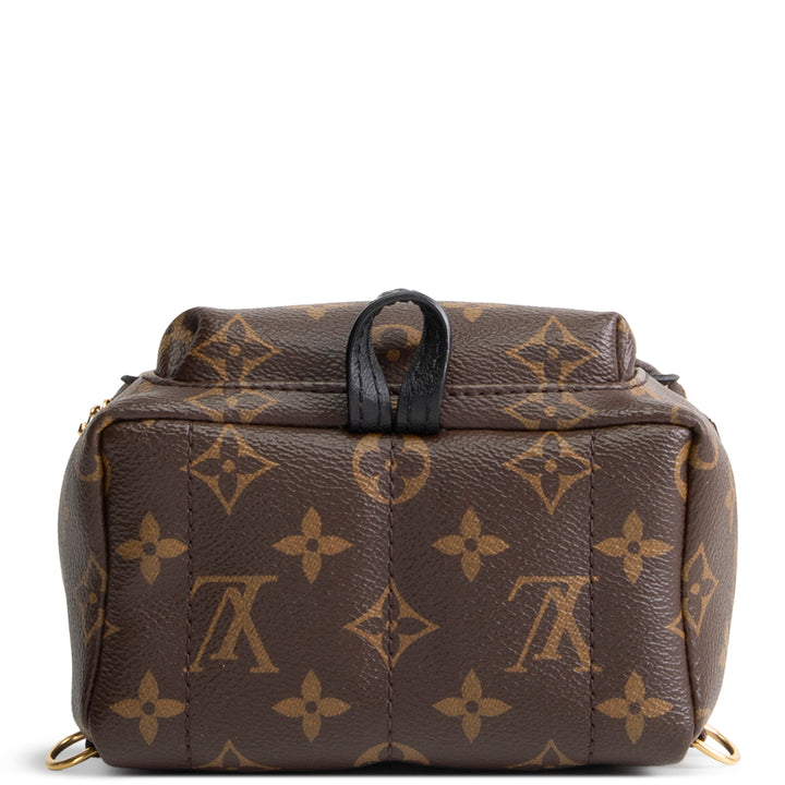 LOUIS VUITTON Palm Springs Mini Backpack Monogram