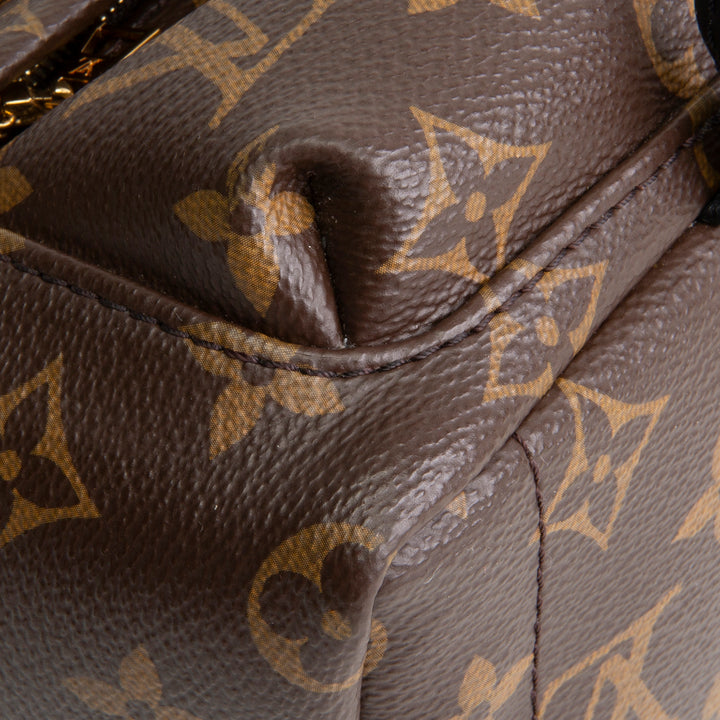 LOUIS VUITTON Palm Springs Mini Backpack Monogram