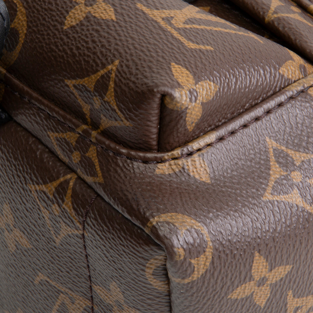 LOUIS VUITTON Palm Springs Mini Backpack Monogram