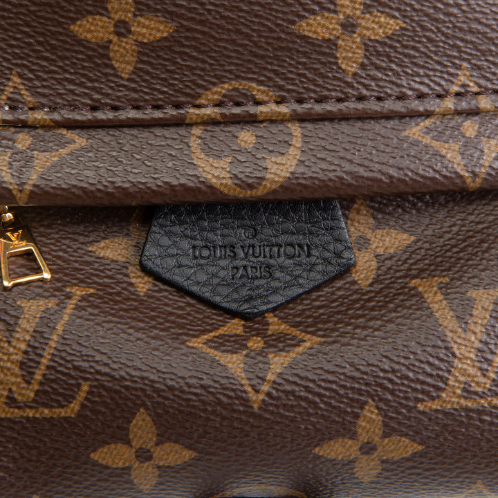 LOUIS VUITTON Palm Springs Mini Backpack Monogram