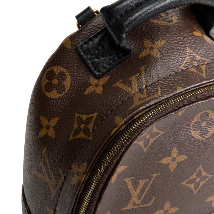 LOUIS VUITTON Palm Springs Mini Backpack Monogram