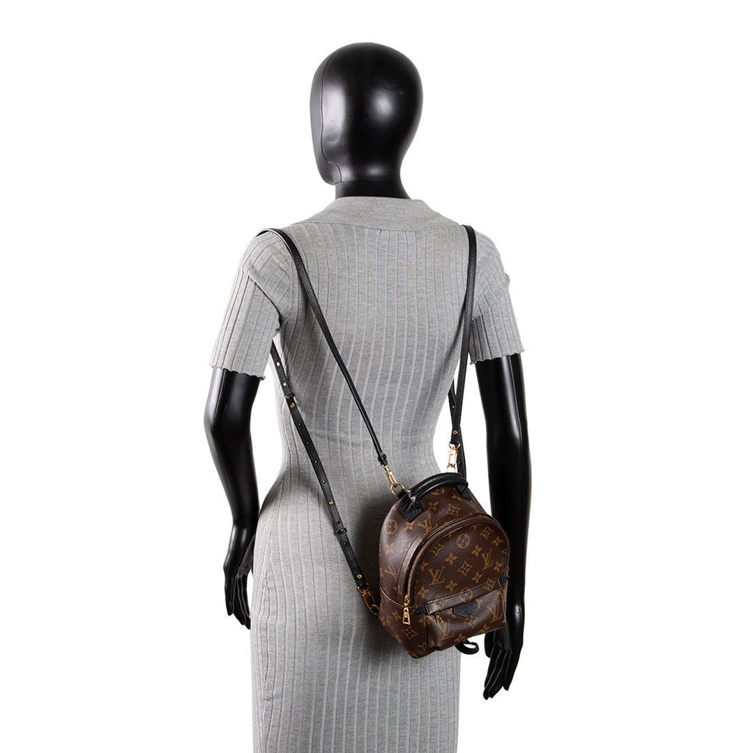 LOUIS VUITTON Palm Springs Mini Backpack Monogram