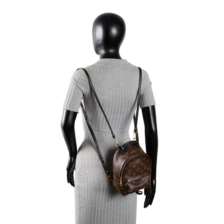 LOUIS VUITTON Palm Springs Mini Backpack Monogram