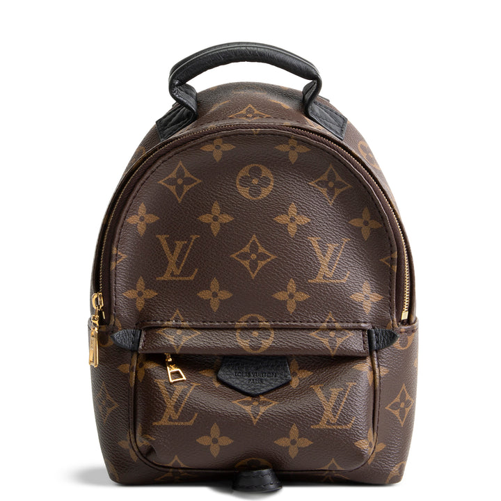 LOUIS VUITTON Palm Springs Mini Backpack Monogram