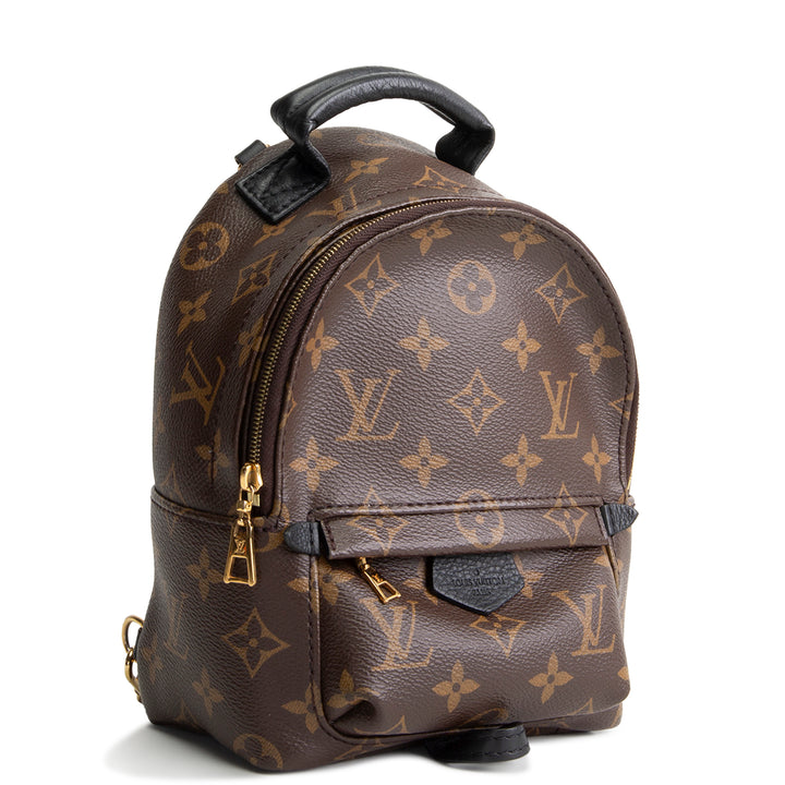 LOUIS VUITTON Palm Springs Mini Backpack Monogram