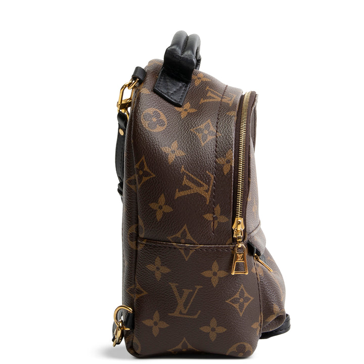 LOUIS VUITTON Palm Springs Mini Backpack Monogram