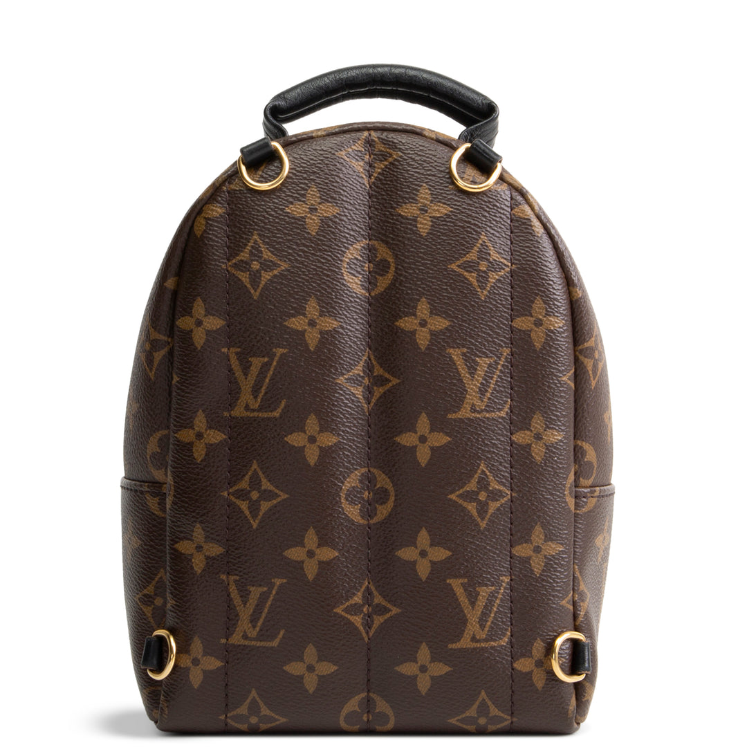 LOUIS VUITTON Palm Springs Mini Backpack Monogram