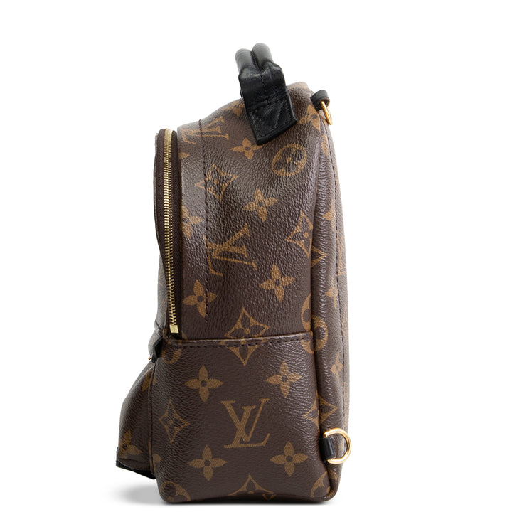 LOUIS VUITTON Palm Springs Mini Backpack Monogram