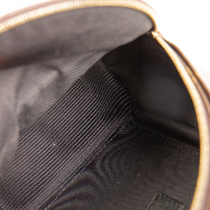 LOUIS VUITTON Palm Springs Mini Backpack Monogram