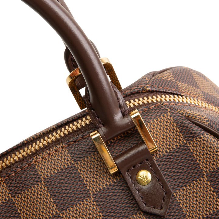 LOUIS VUITTON Damier Ebene Mini Ribera Handle Bag