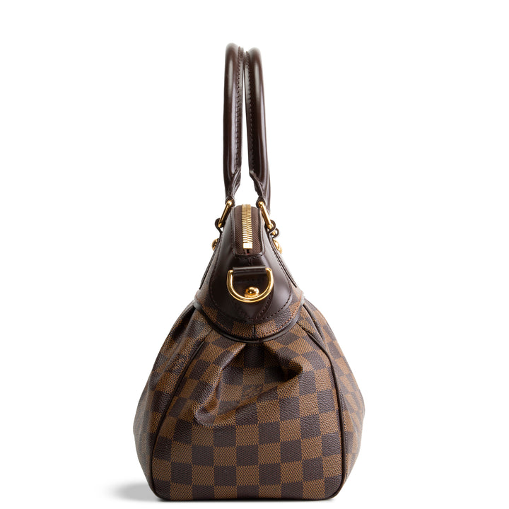 LOUIS VUITTON Damier Ebene Trevi PM