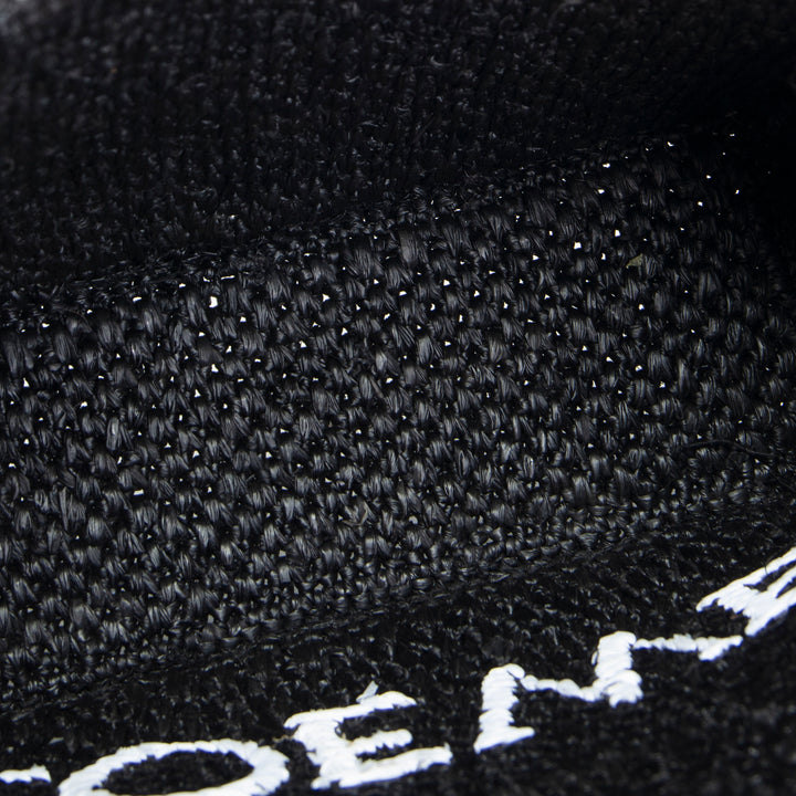 LOEWE Raffia Font Mini Tote - Black