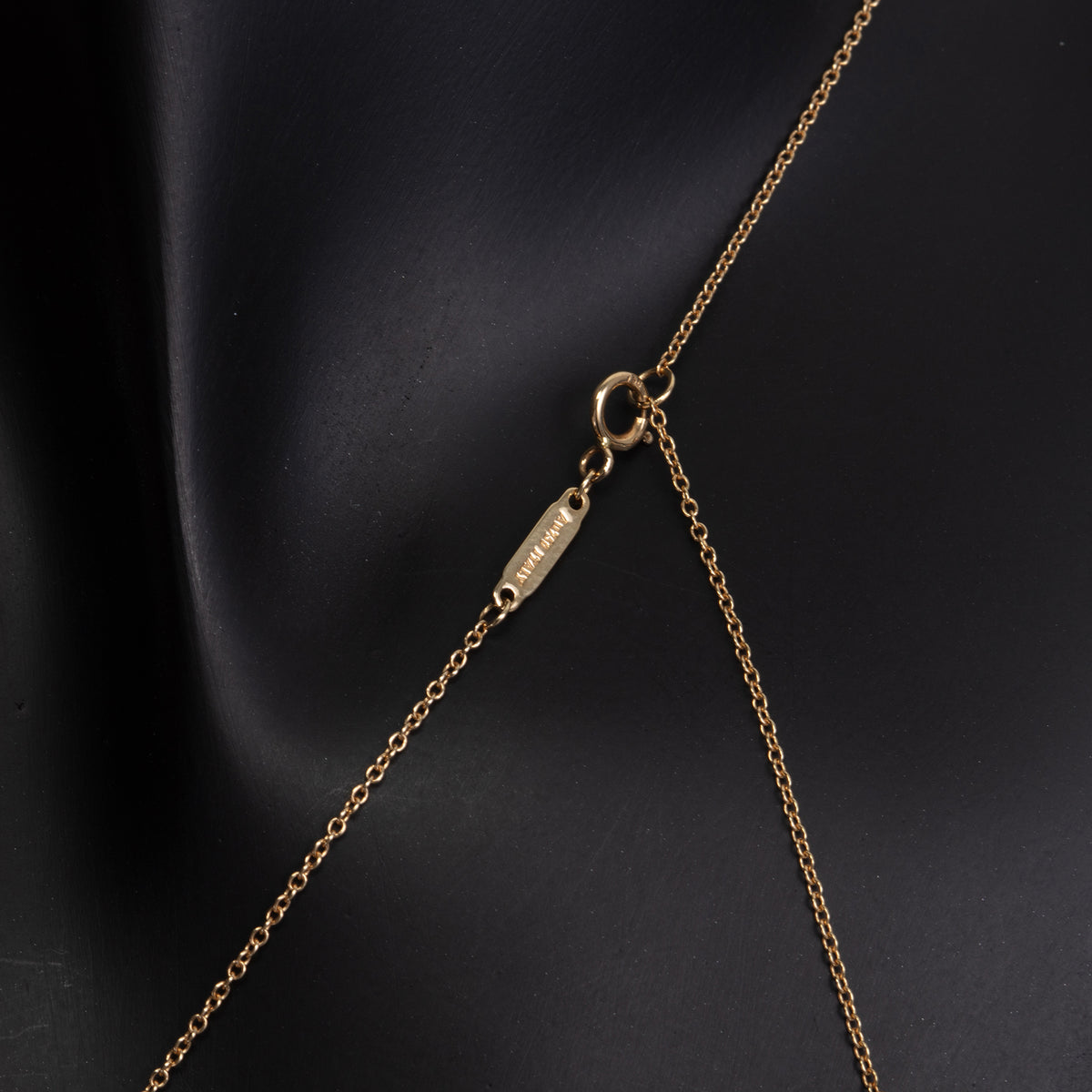 TIFFANY &amp; CO. Circle Pendant Necklace