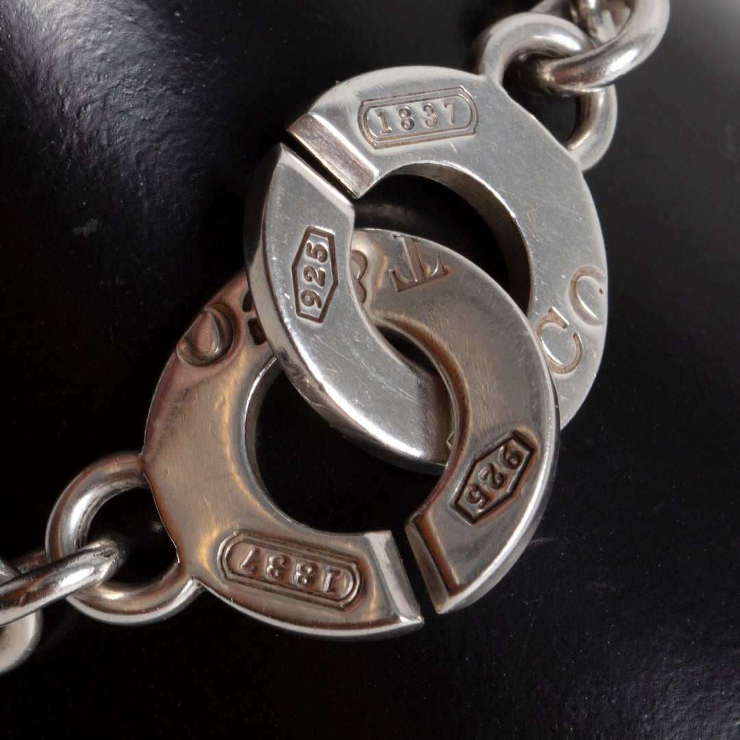 TIFFANY & Co. Interlocking Circle Chain Necklace
