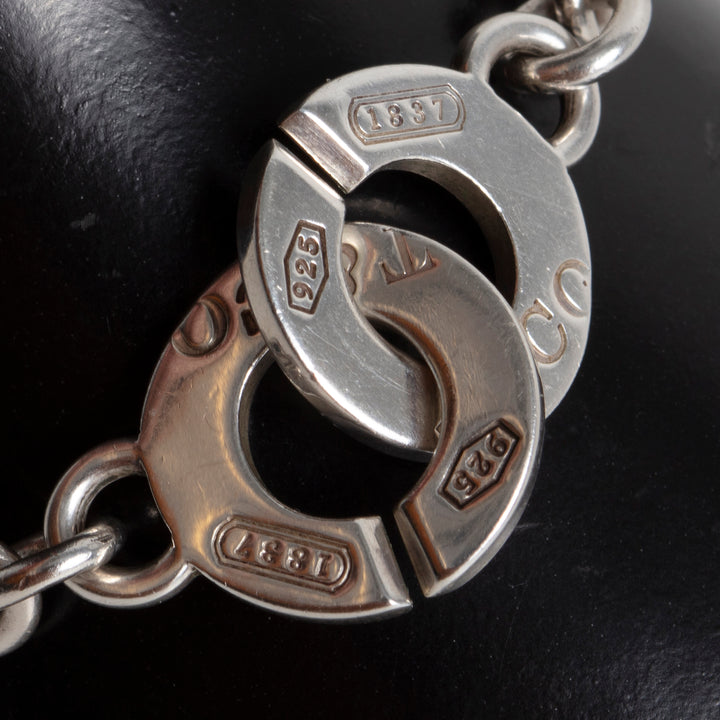 TIFFANY & Co. Interlocking Circle Chain Necklace