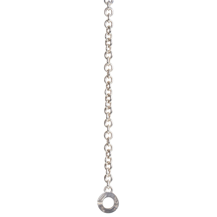 TIFFANY & Co. Interlocking Circle Chain Necklace