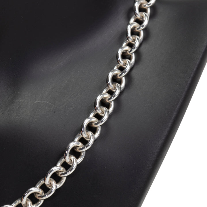 TIFFANY & Co. Interlocking Circle Chain Necklace