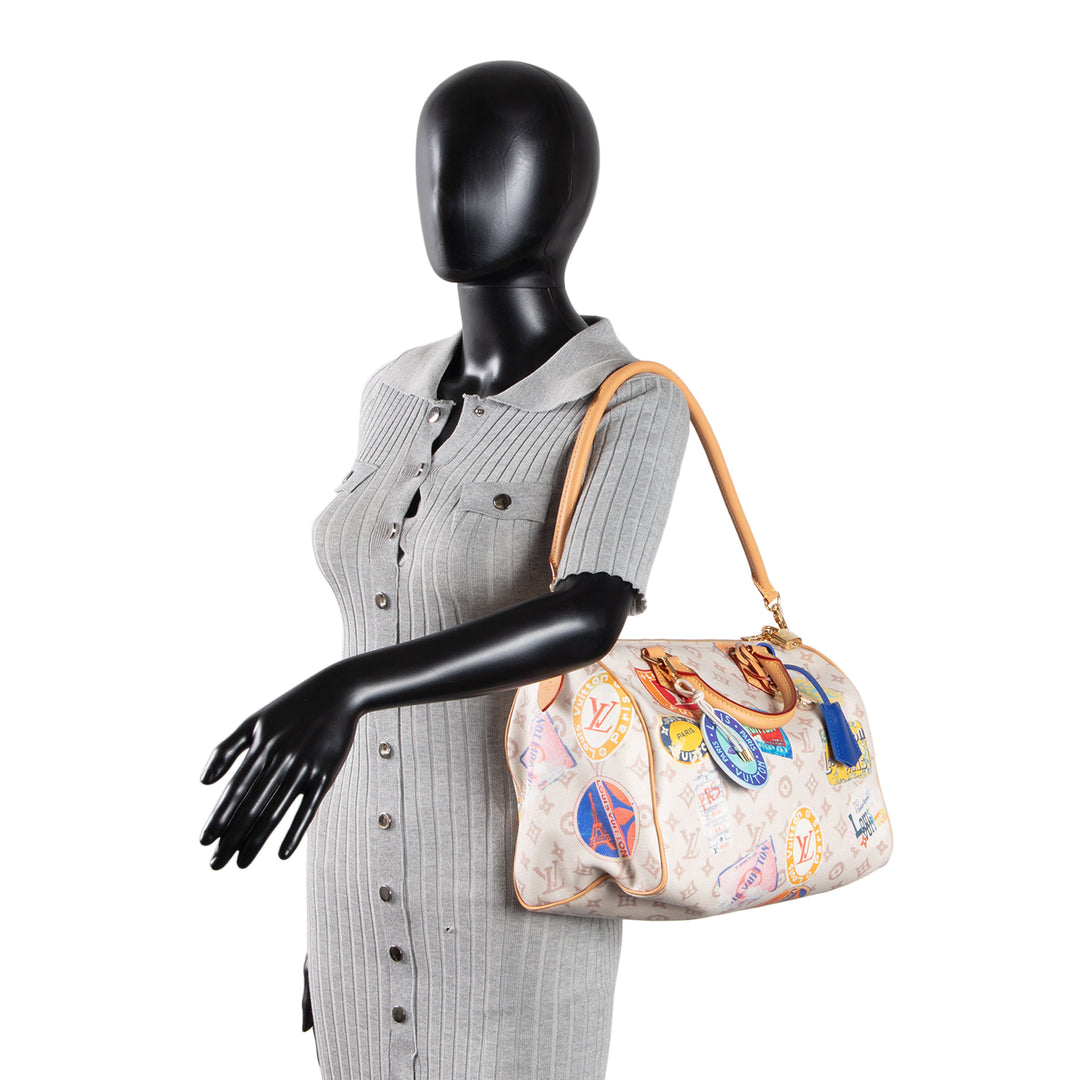 LOUIS VUITTON Speedy Soft 30 - Canvas Monogram Dune w/ Patchwork